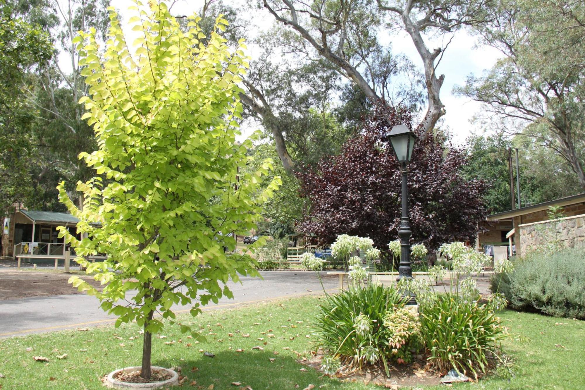 Adelaide Brownhill Creek Tourist Park Hotel Exterior foto